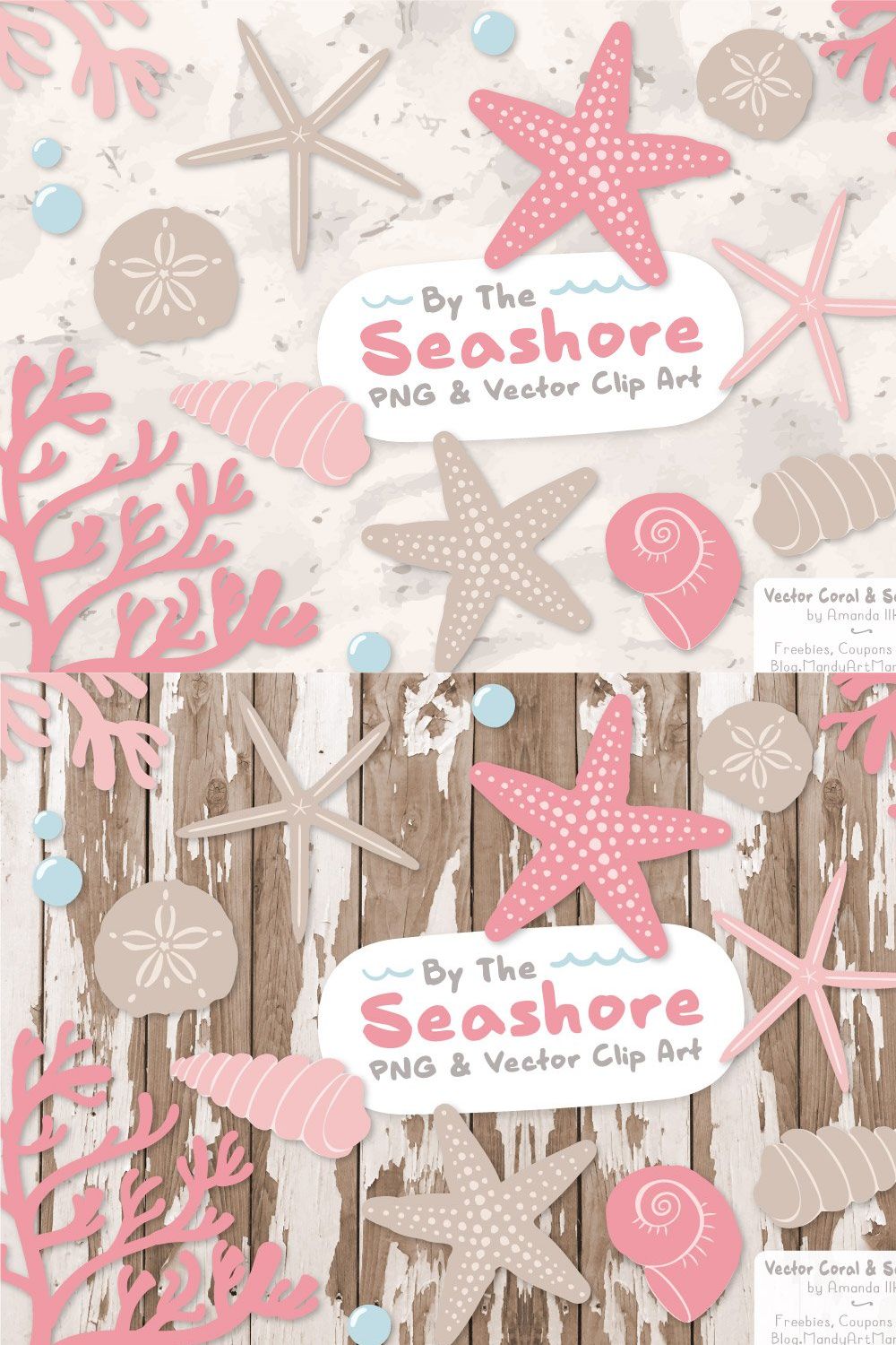 Seashells Clipart in Soft Pink pinterest preview image.