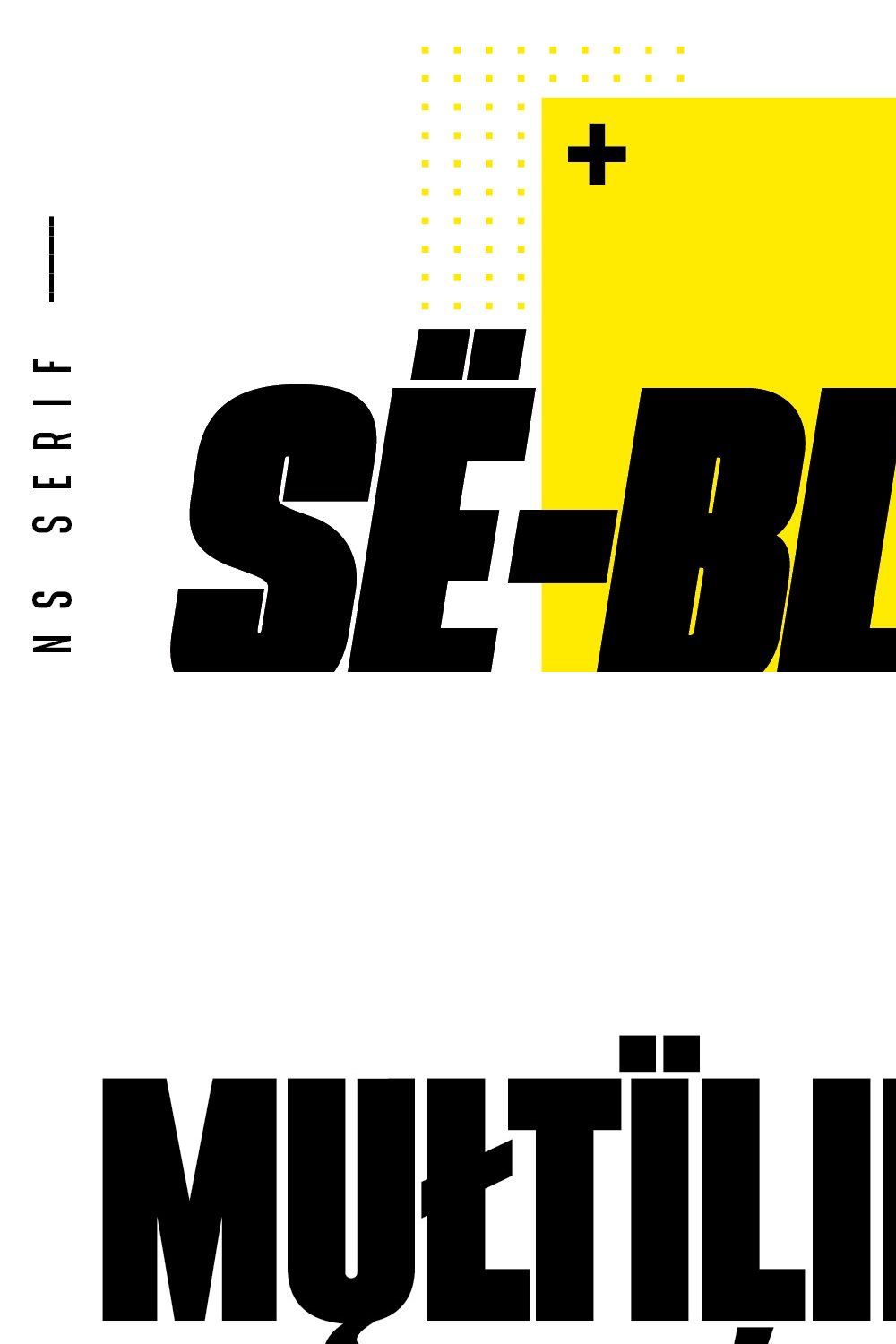 SeBlack Sans Serif Font family pinterest preview image.