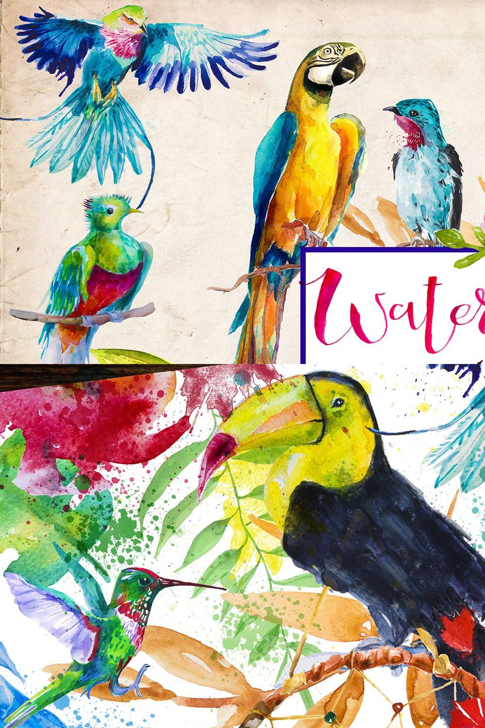 set of exotic birds pinterest preview image.