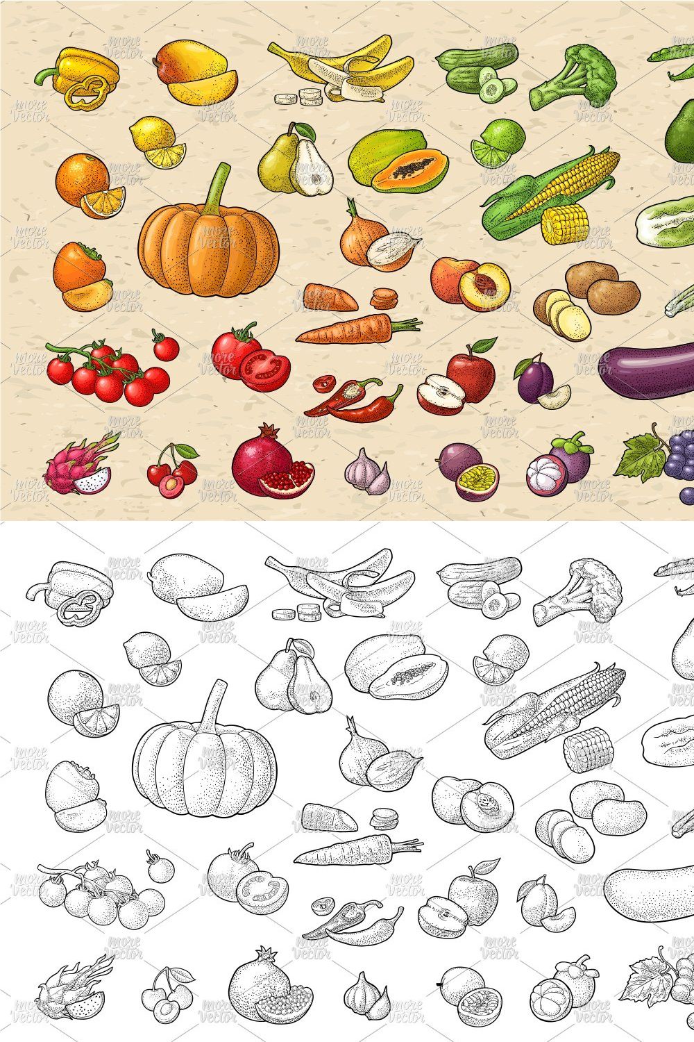 Set vegetable fruit engraving pinterest preview image.