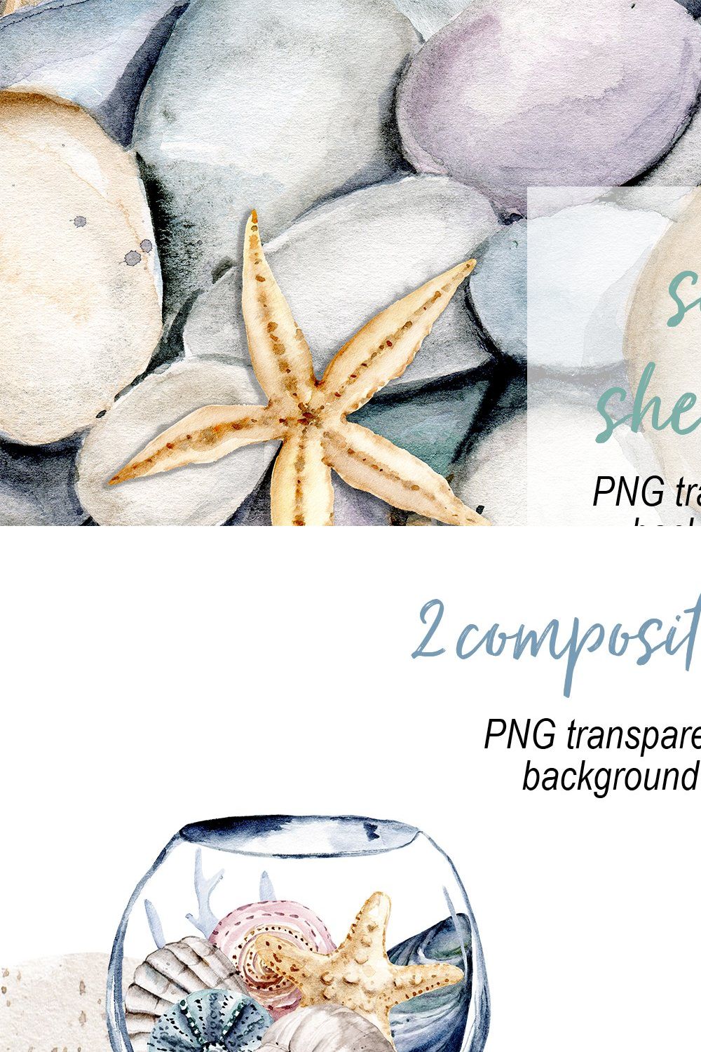 Shells, beach watercolor set. pinterest preview image.