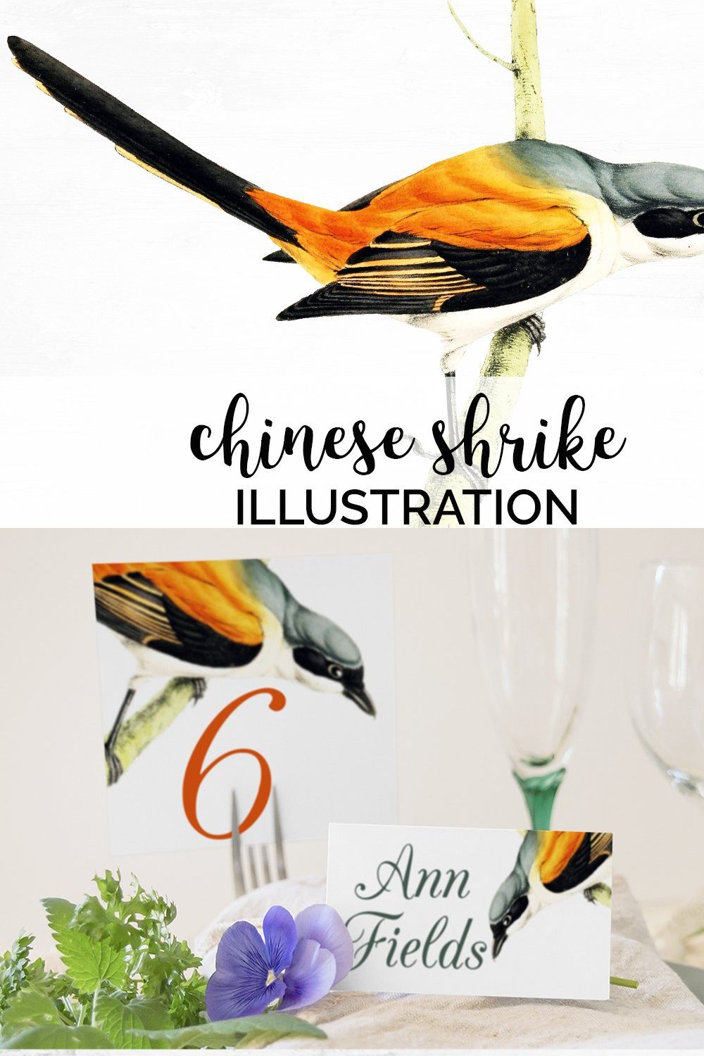 Shrike Chinese Watercolor Bird pinterest preview image.