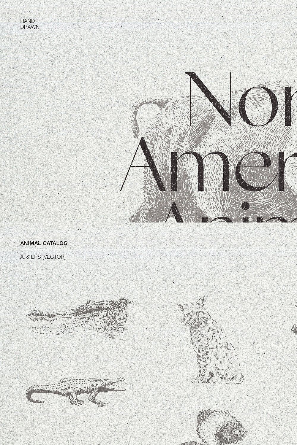 Sketches of animals of North America pinterest preview image.