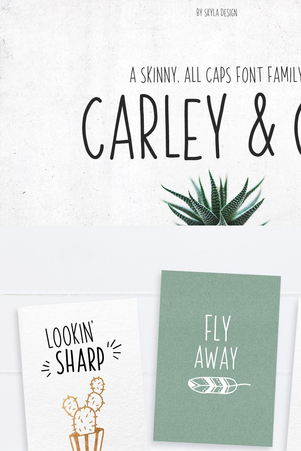 Skinny Font family Carley & Co. pinterest preview image.