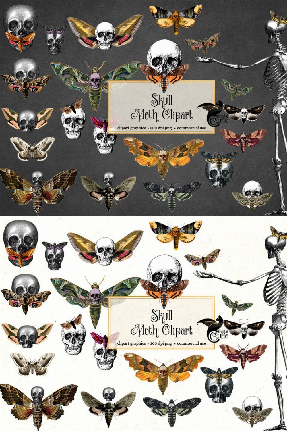Skull Moth Clipart pinterest preview image.