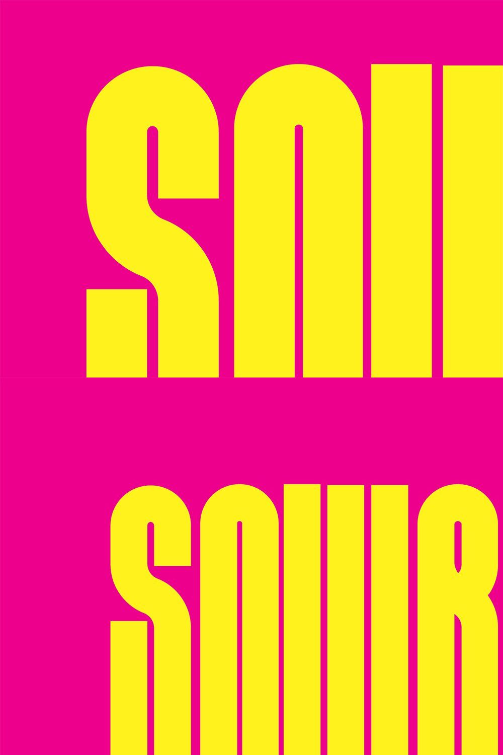 Snubnose! Display Typeface pinterest preview image.