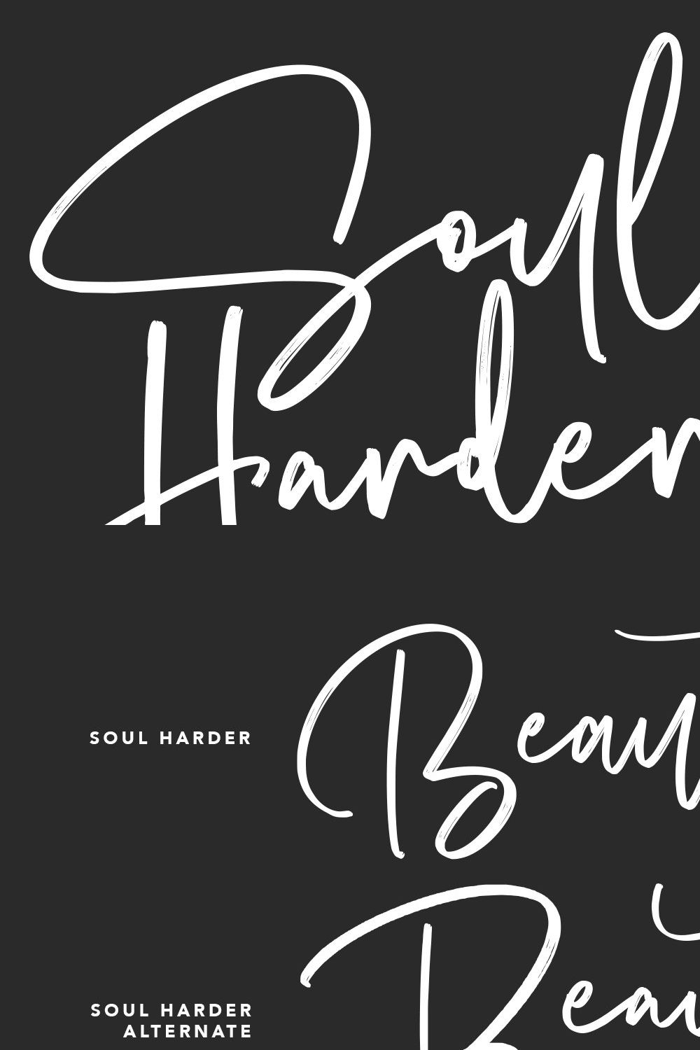 Soul Harder Casual Script Font pinterest preview image.