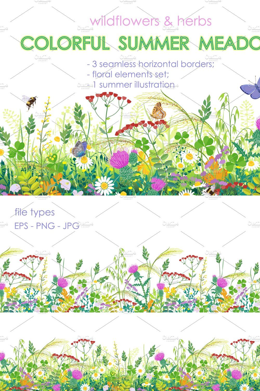Summer Meadow Plants  and Insects pinterest preview image.