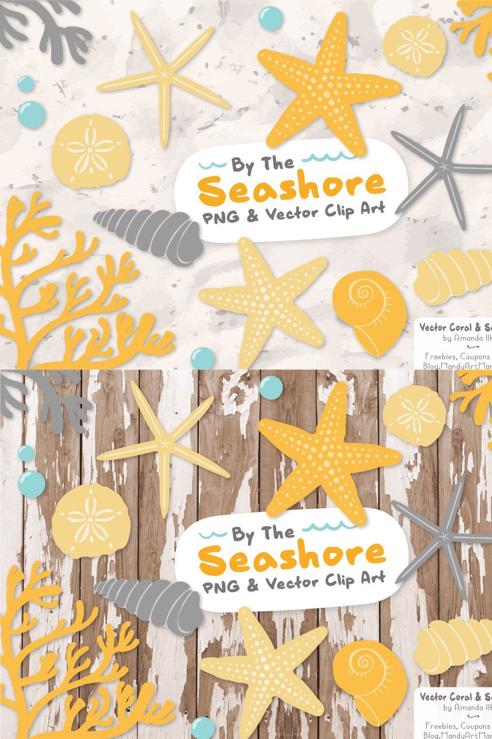 Sunshine Vector Seashells pinterest preview image.