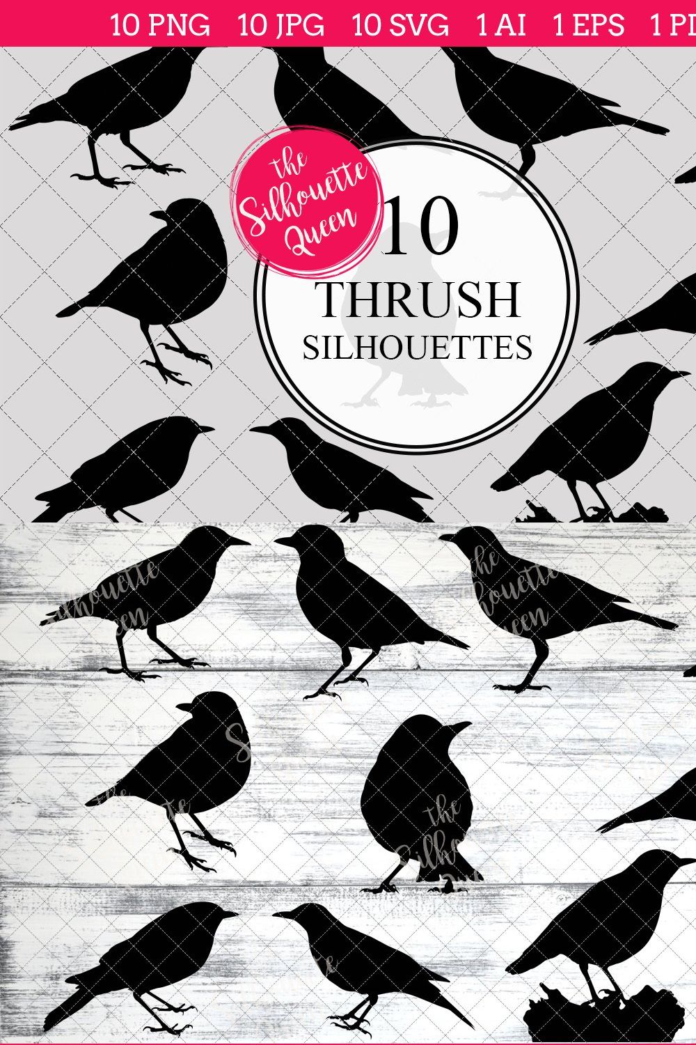 Thrush silhouette vector graphics pinterest preview image.