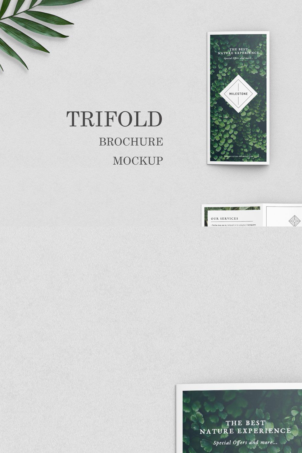 Trifold Brochure Mockups pinterest preview image.