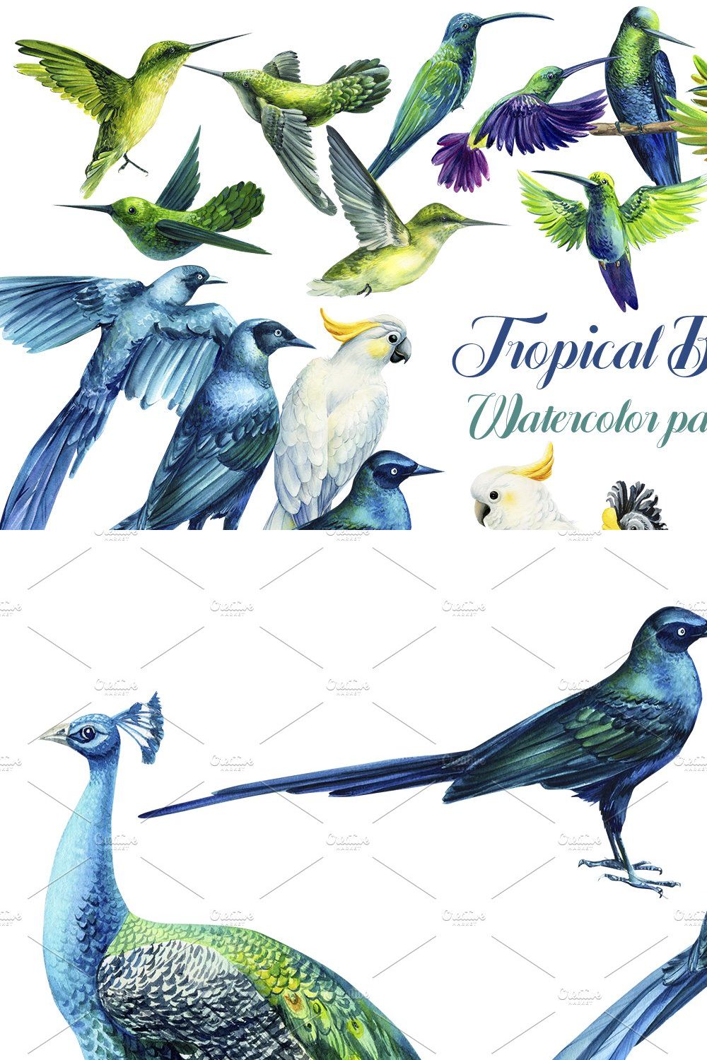 Tropical Birds, Watercolor painting pinterest preview image.