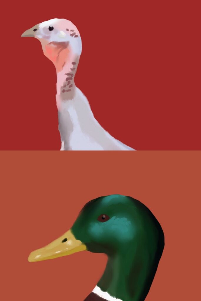 Turducken Set MasterBundles