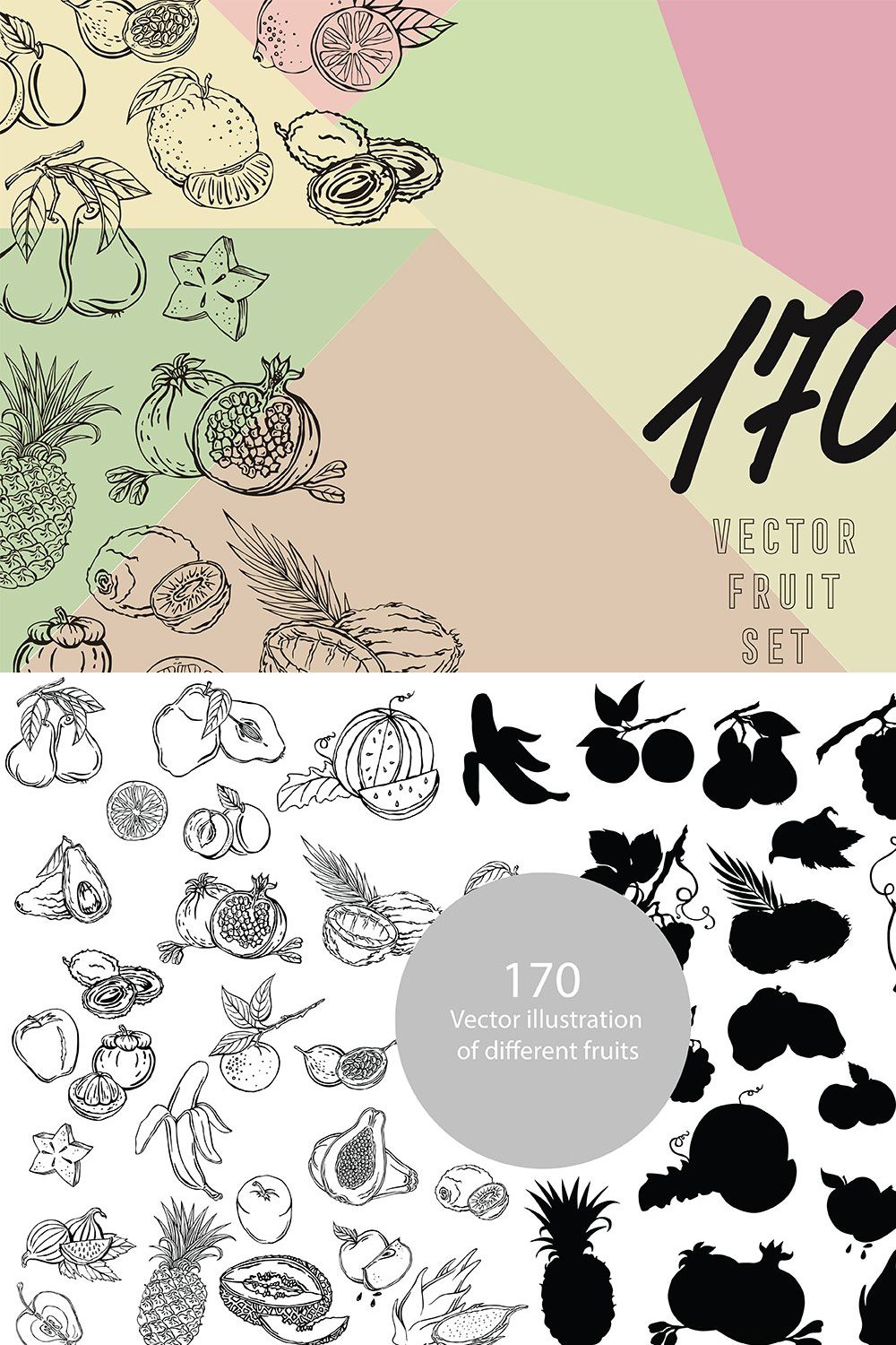 Vector illustration of fruits pinterest preview image.