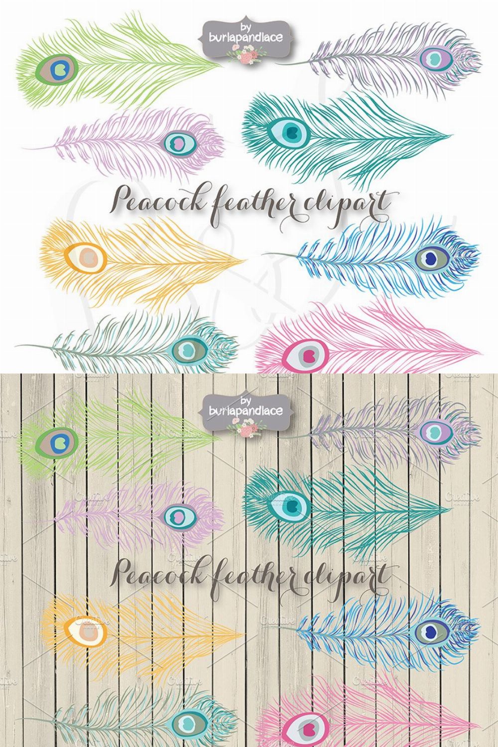 VECTOR Peacock feather clipart pinterest preview image.