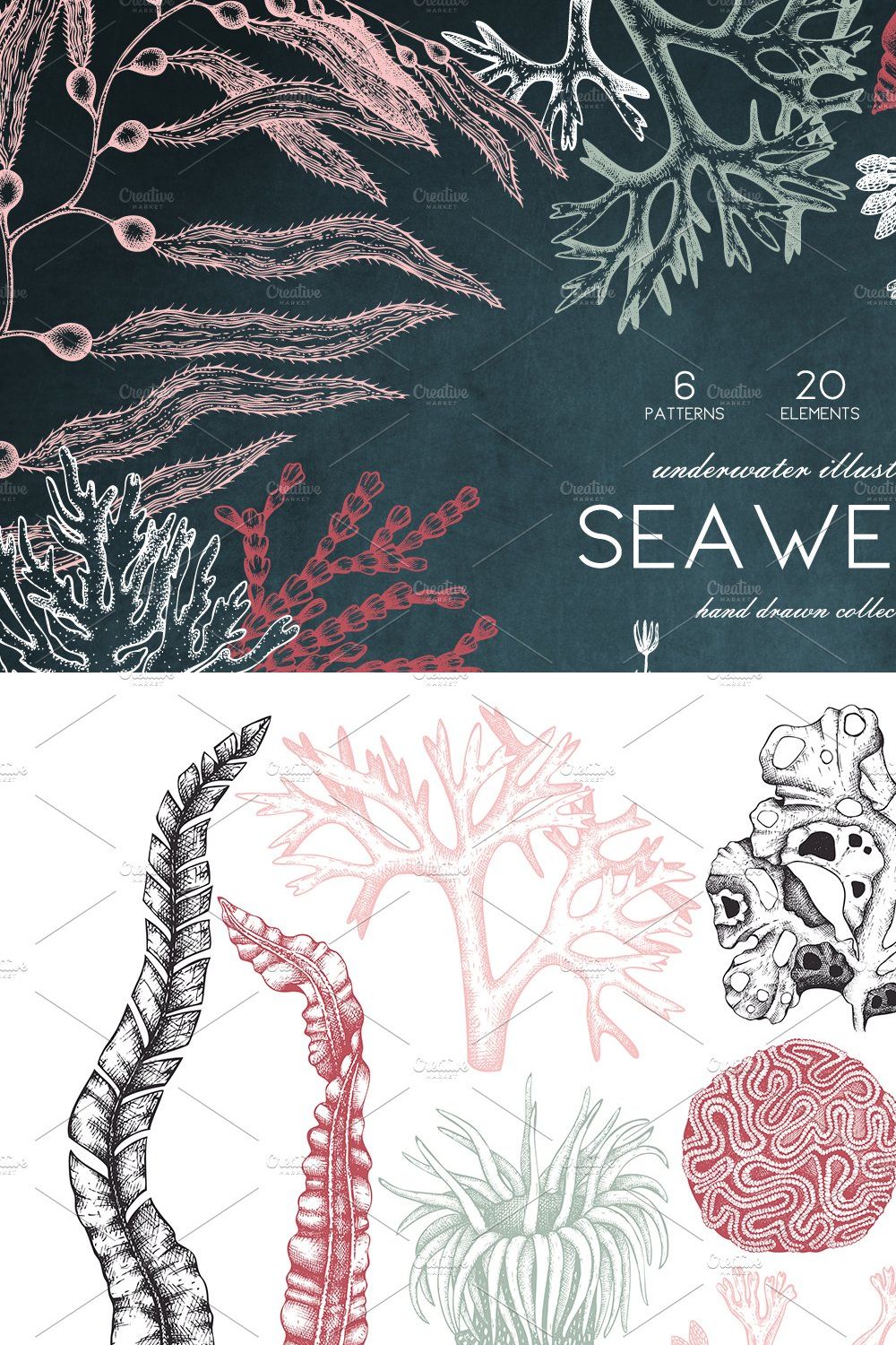 Vector Seaweeds Collection pinterest preview image.