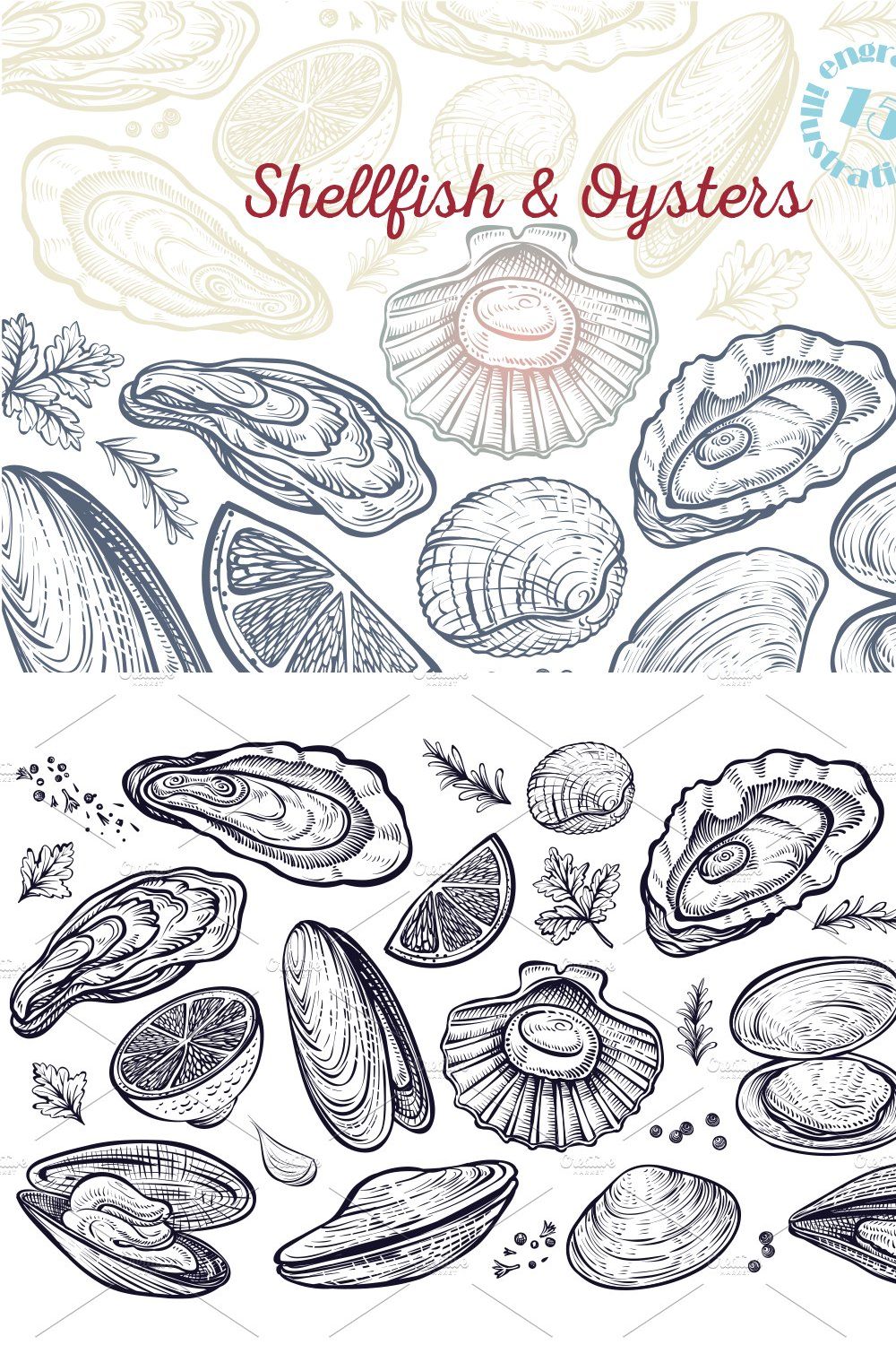 Vector sketch of Shellfish & Oysters pinterest preview image.