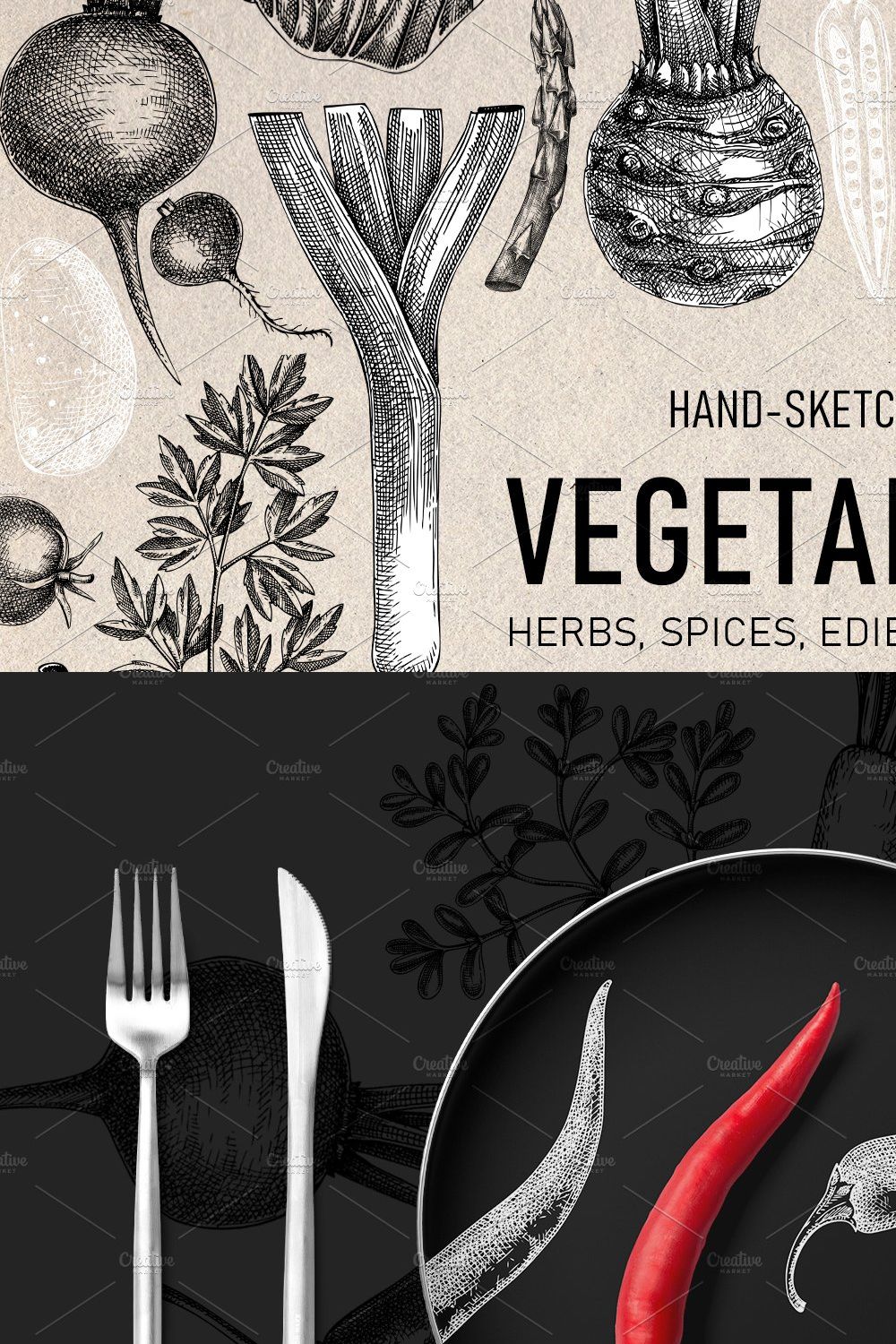 Vegetables & Herbs Vector Sketches. pinterest preview image.