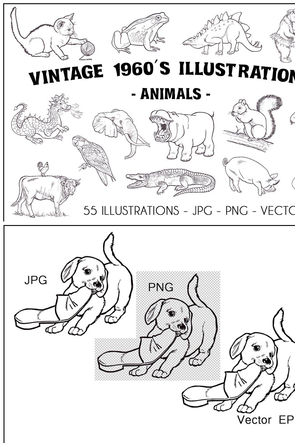 Vintage 1960's Illustrations-Animals pinterest preview image.