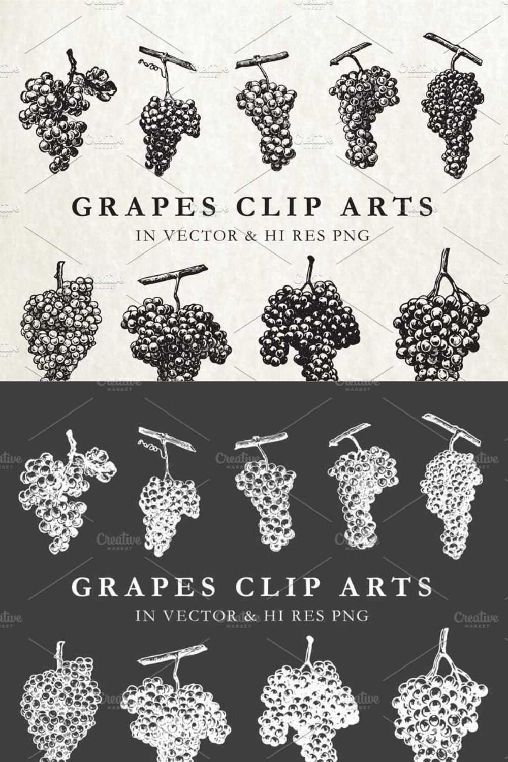 Vintage Hand Drawn Grape Vector Pack pinterest preview image.