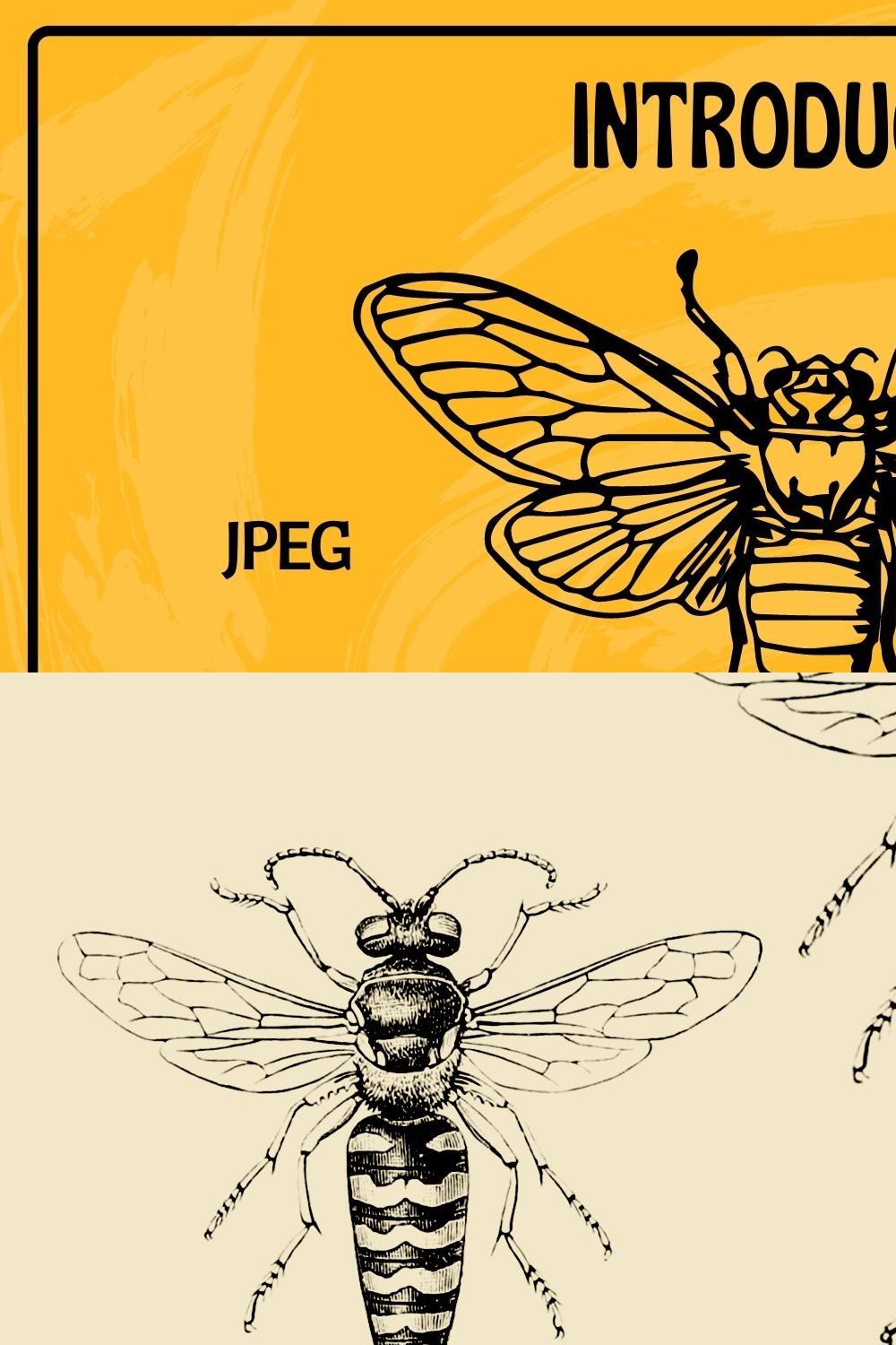 Vintage Wasp and Bee Illustrations pinterest preview image.