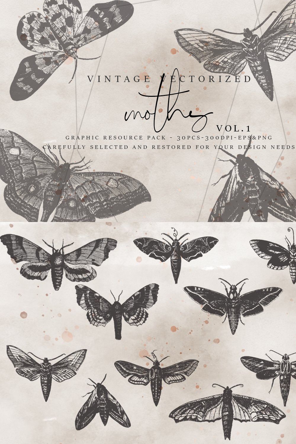 VintageVectorized-Moths Clipart pinterest preview image.