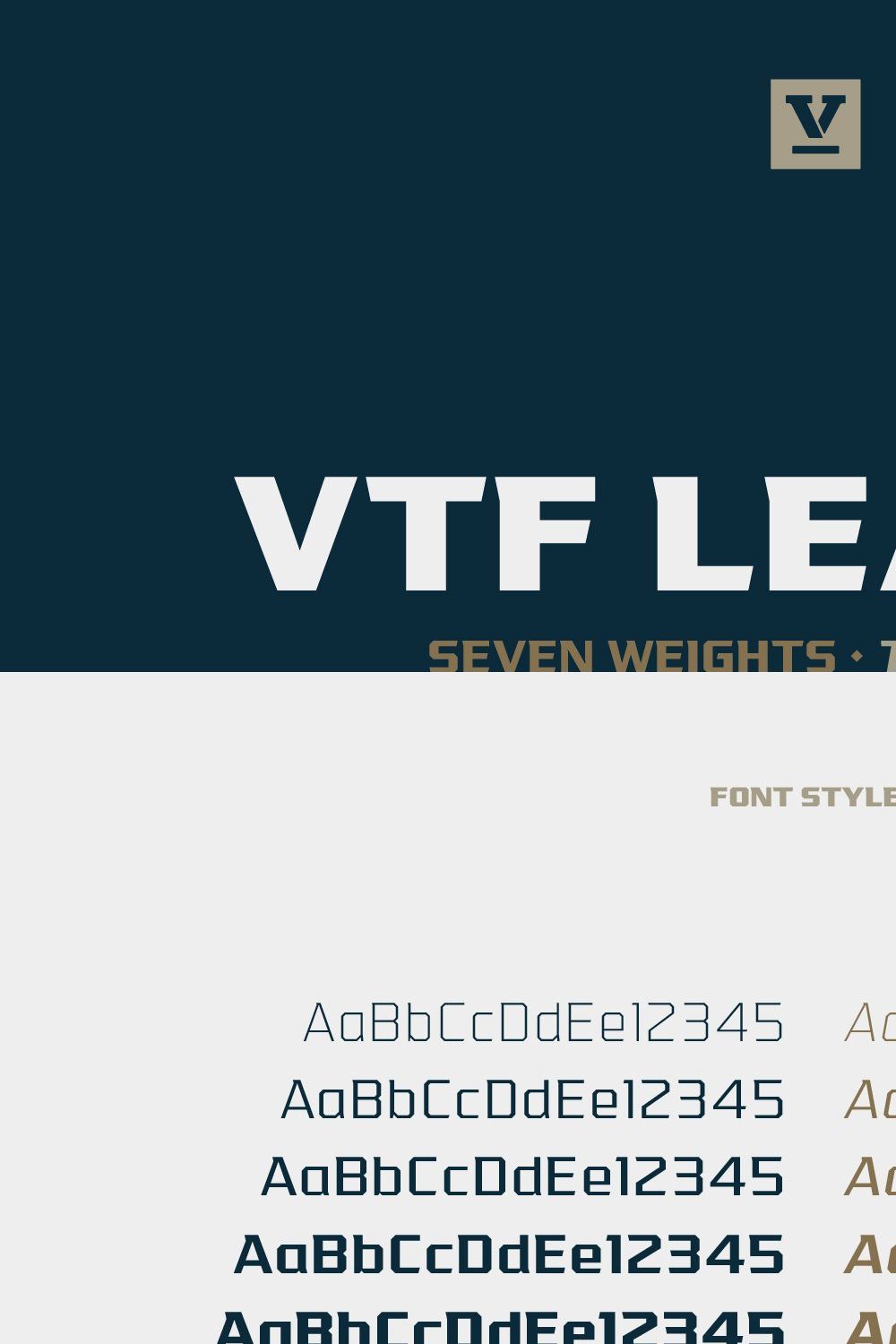 VTF League Family pinterest preview image.