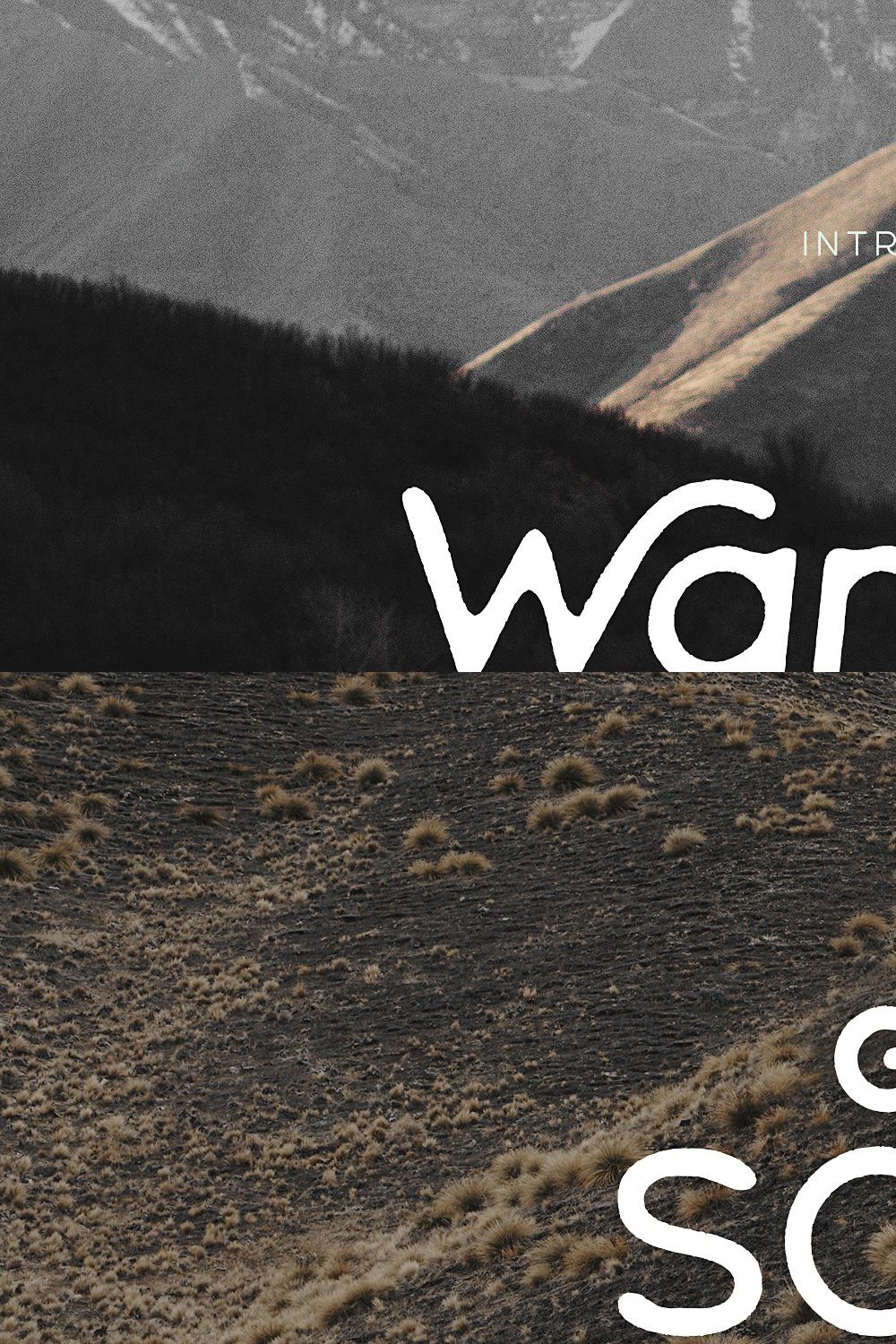 Wandery Modern x Vintage Typeface pinterest preview image.