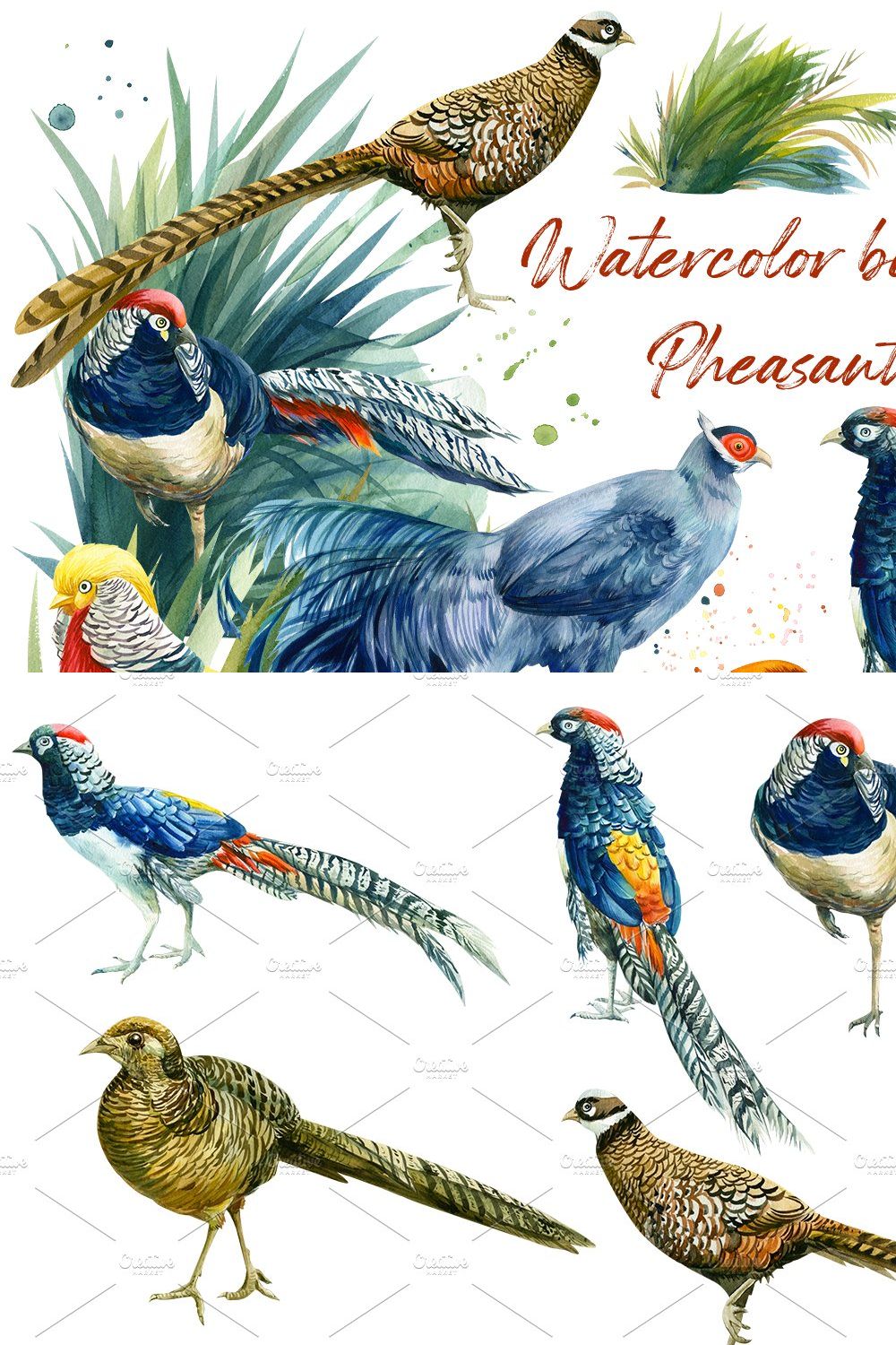 Watercolor birds, pheasant pinterest preview image.
