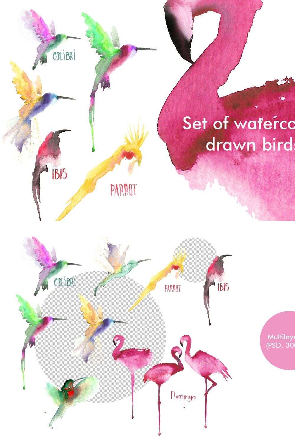 Watercolor birds set pinterest preview image.