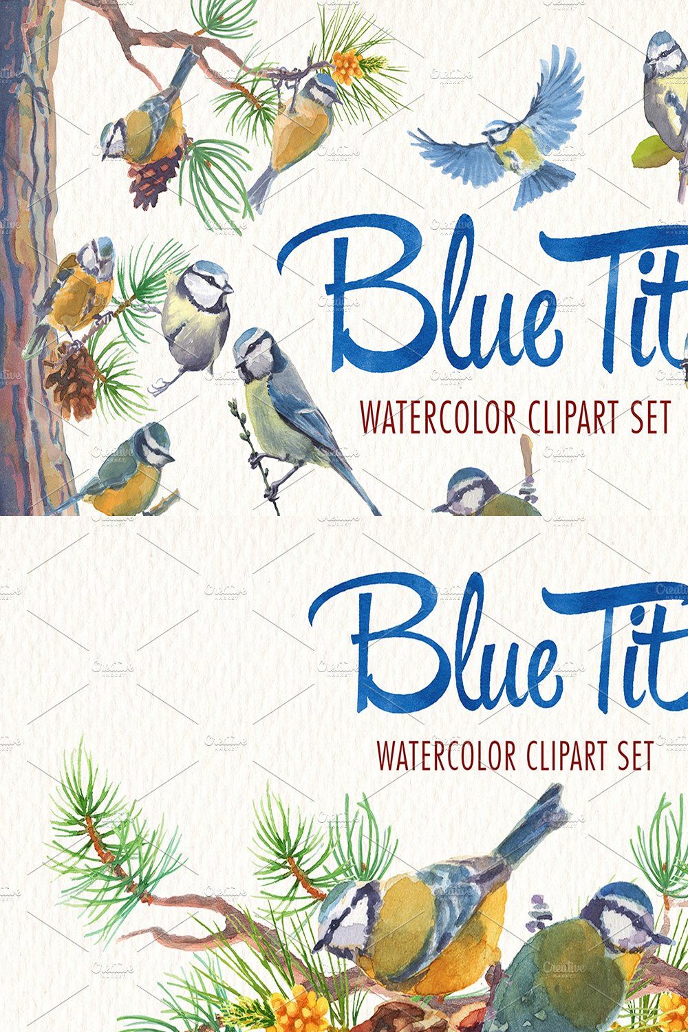 Watercolor blue tit bird clipart pinterest preview image.