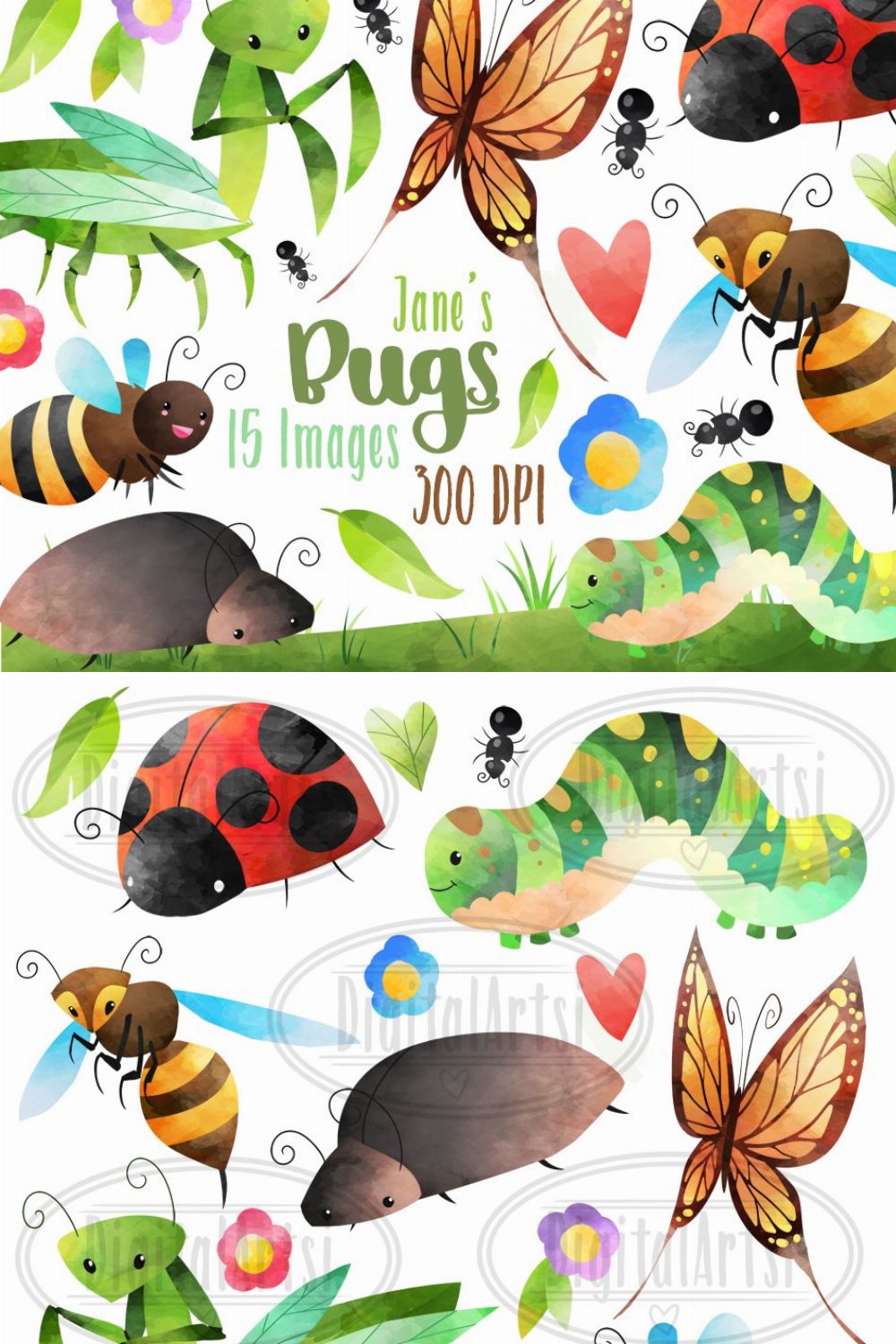 Watercolor Bugs Clipart pinterest preview image.