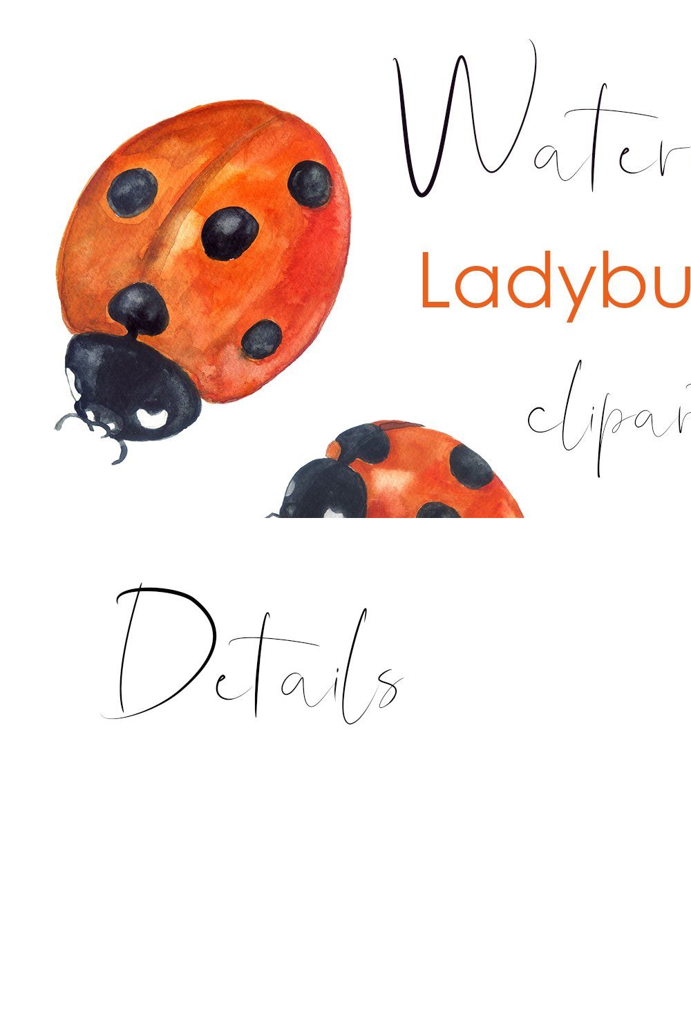 Watercolor clipart Insect collection pinterest preview image.