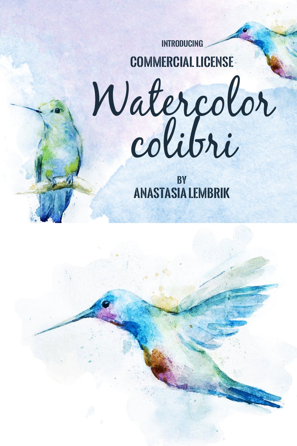 Watercolor colibri set pinterest preview image.