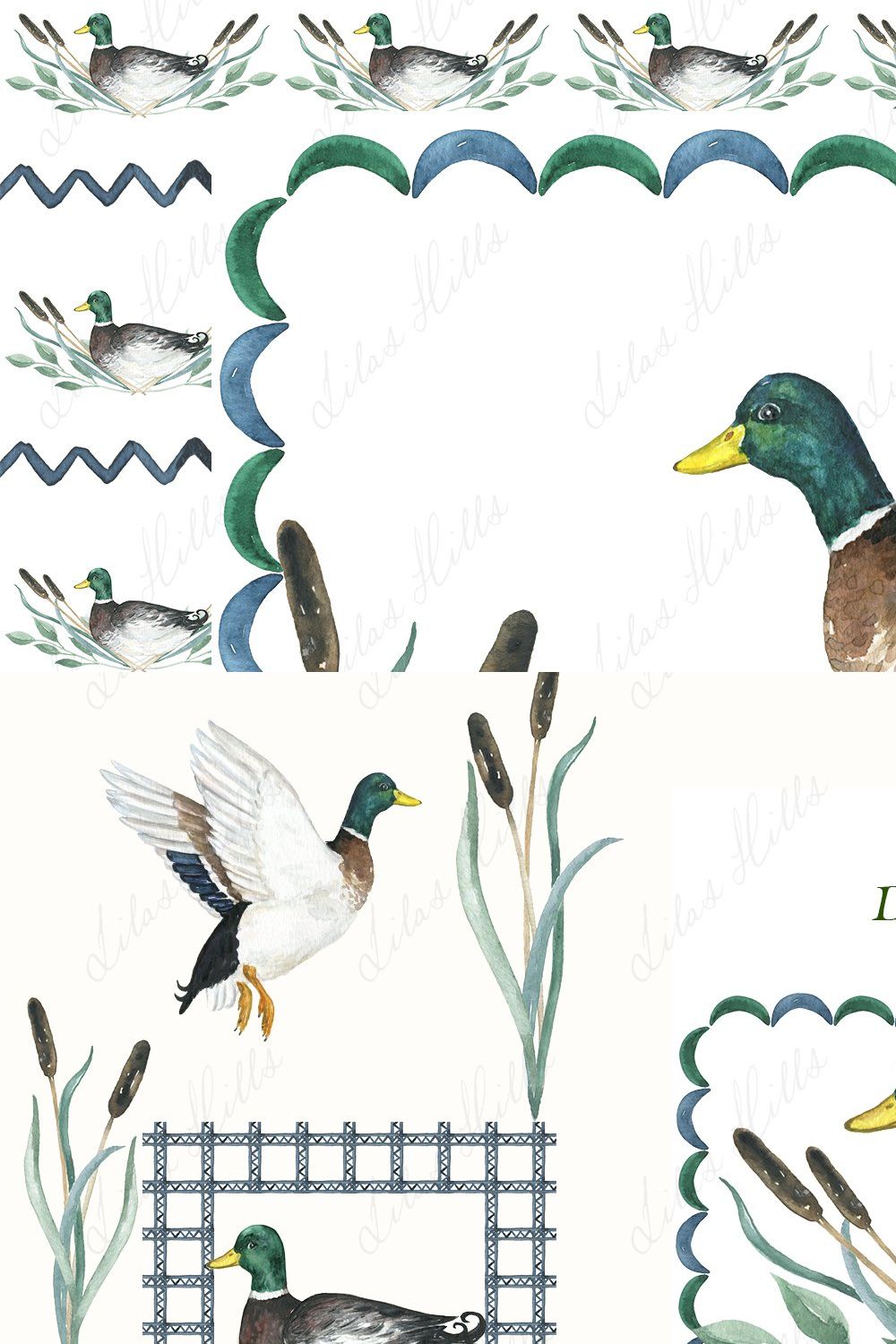 Watercolor duck Mallard Clipart pinterest preview image.