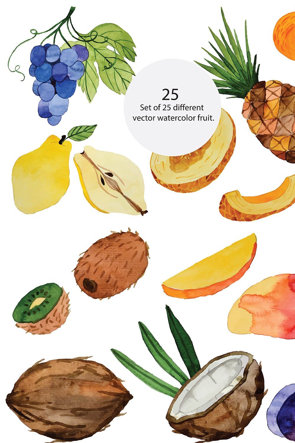 Watercolor fruits pinterest preview image.