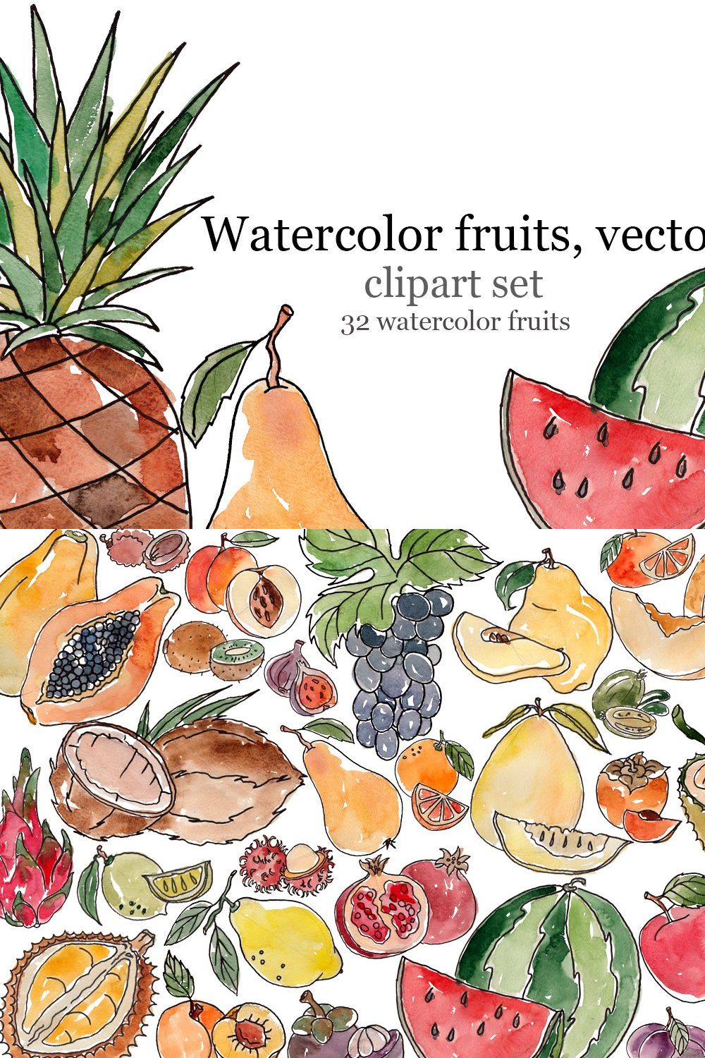 Watercolor fruits, vector pinterest preview image.