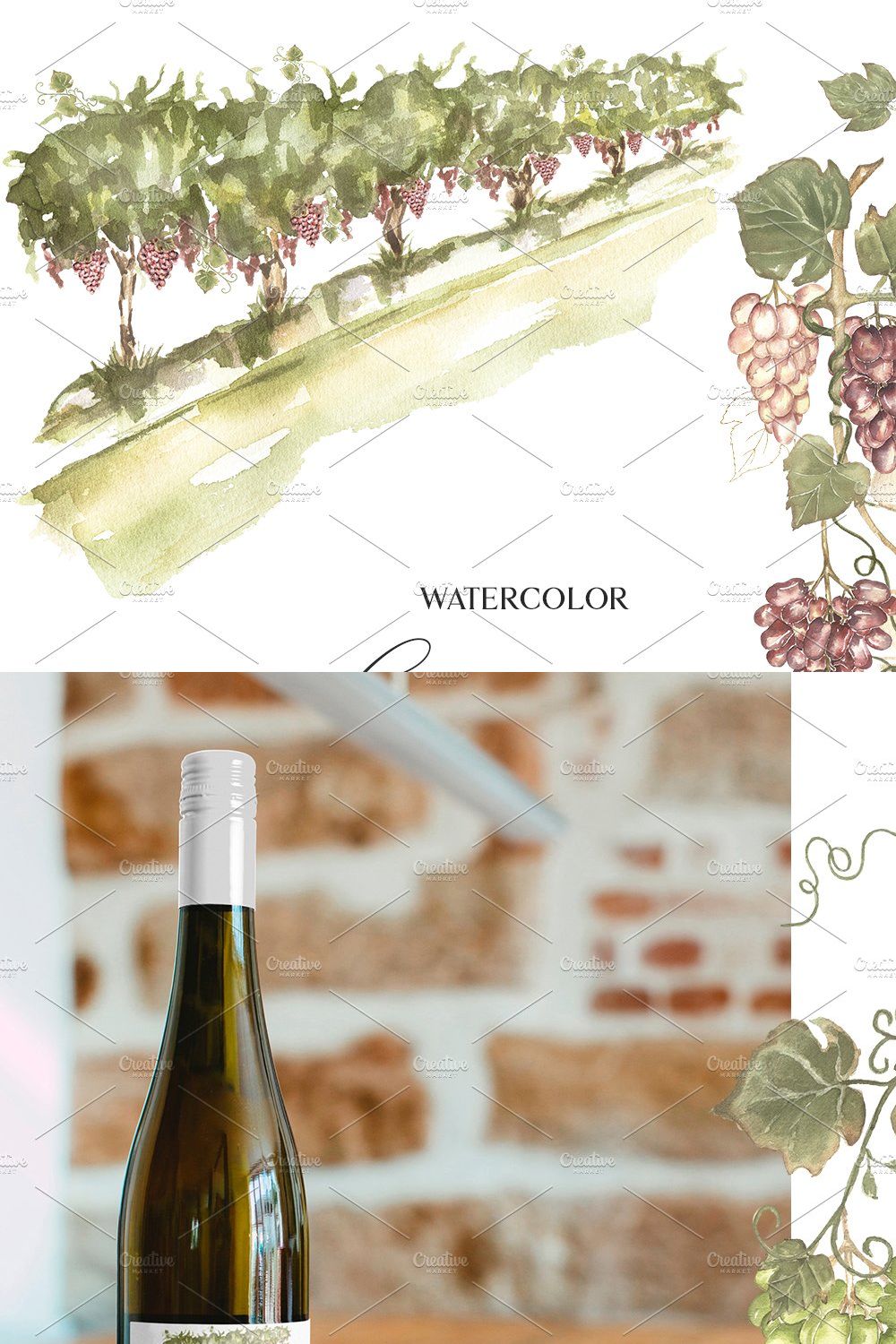 Watercolor Grapes Collection pinterest preview image.