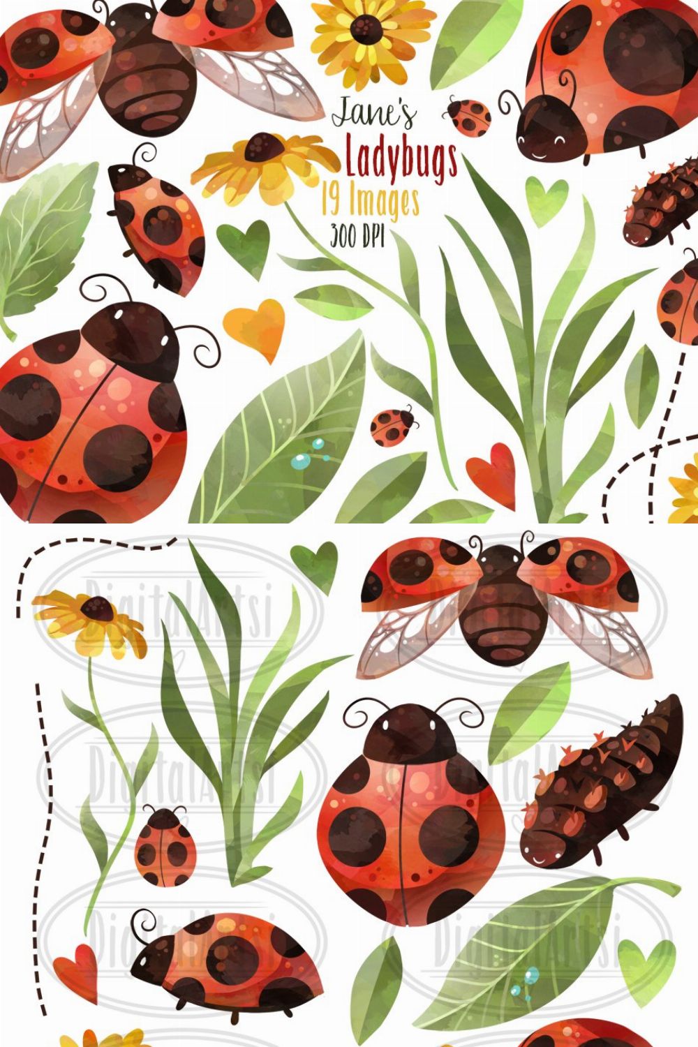 Watercolor Ladybug Clipart pinterest preview image.