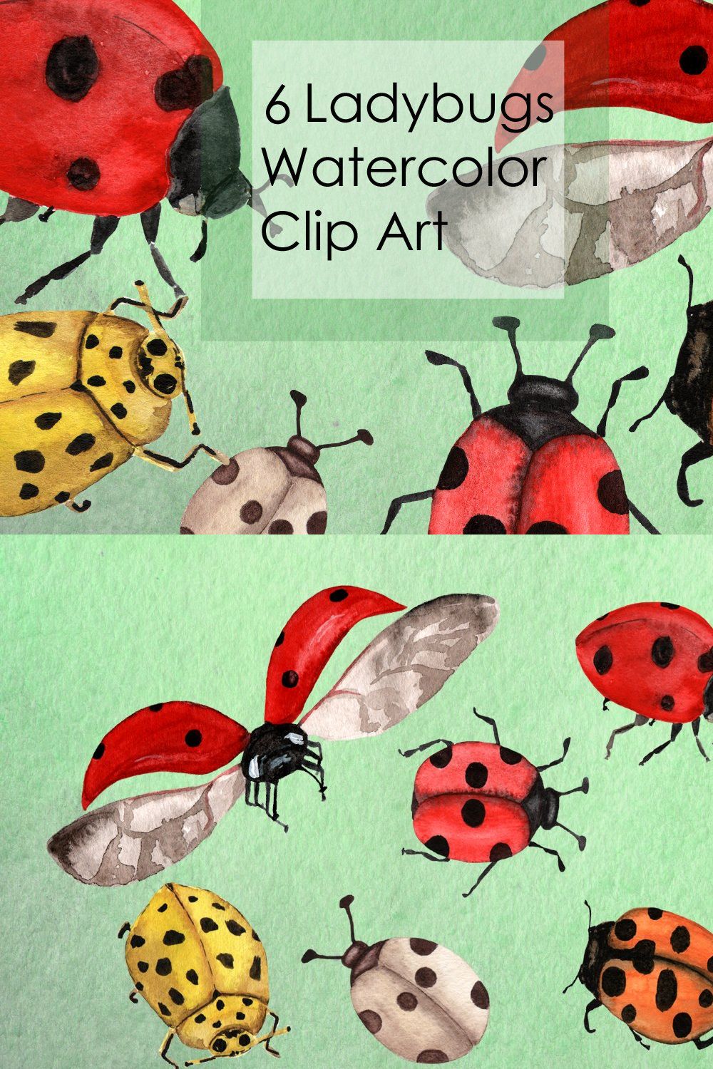 Watercolor Ladybugs Clip Art pinterest preview image.
