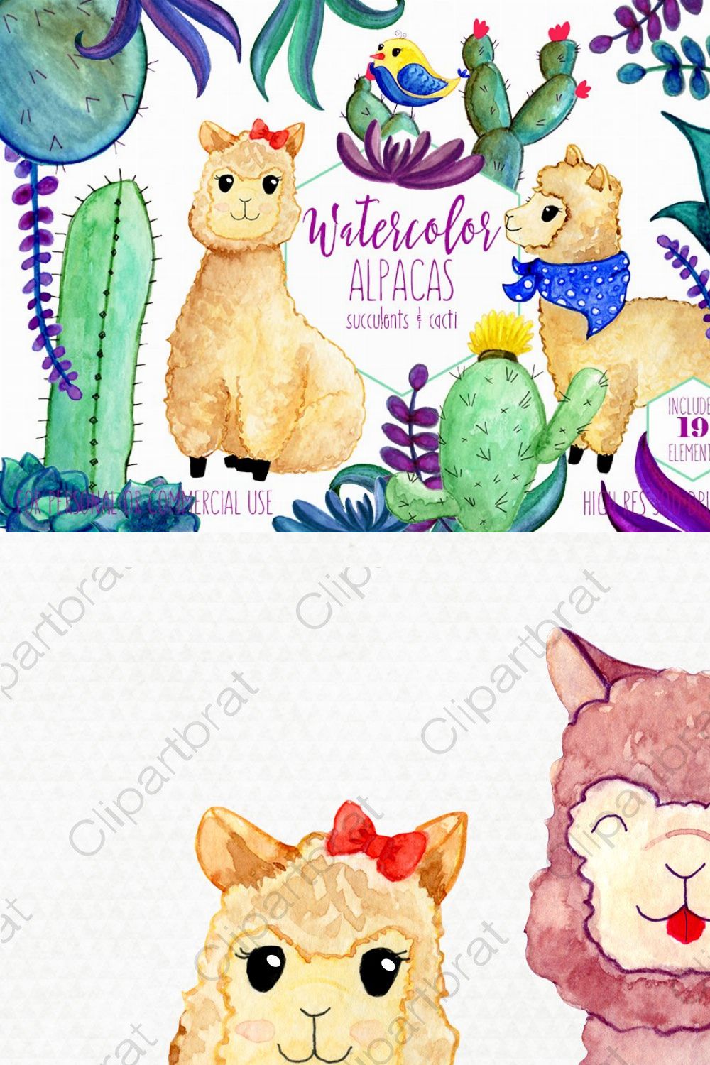Watercolor Llamas & Cactus Clipart pinterest preview image.