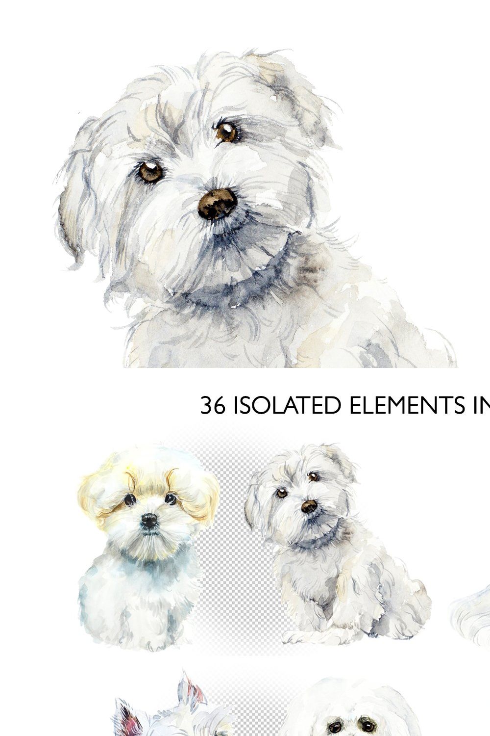 Watercolor maltese dog pinterest preview image.