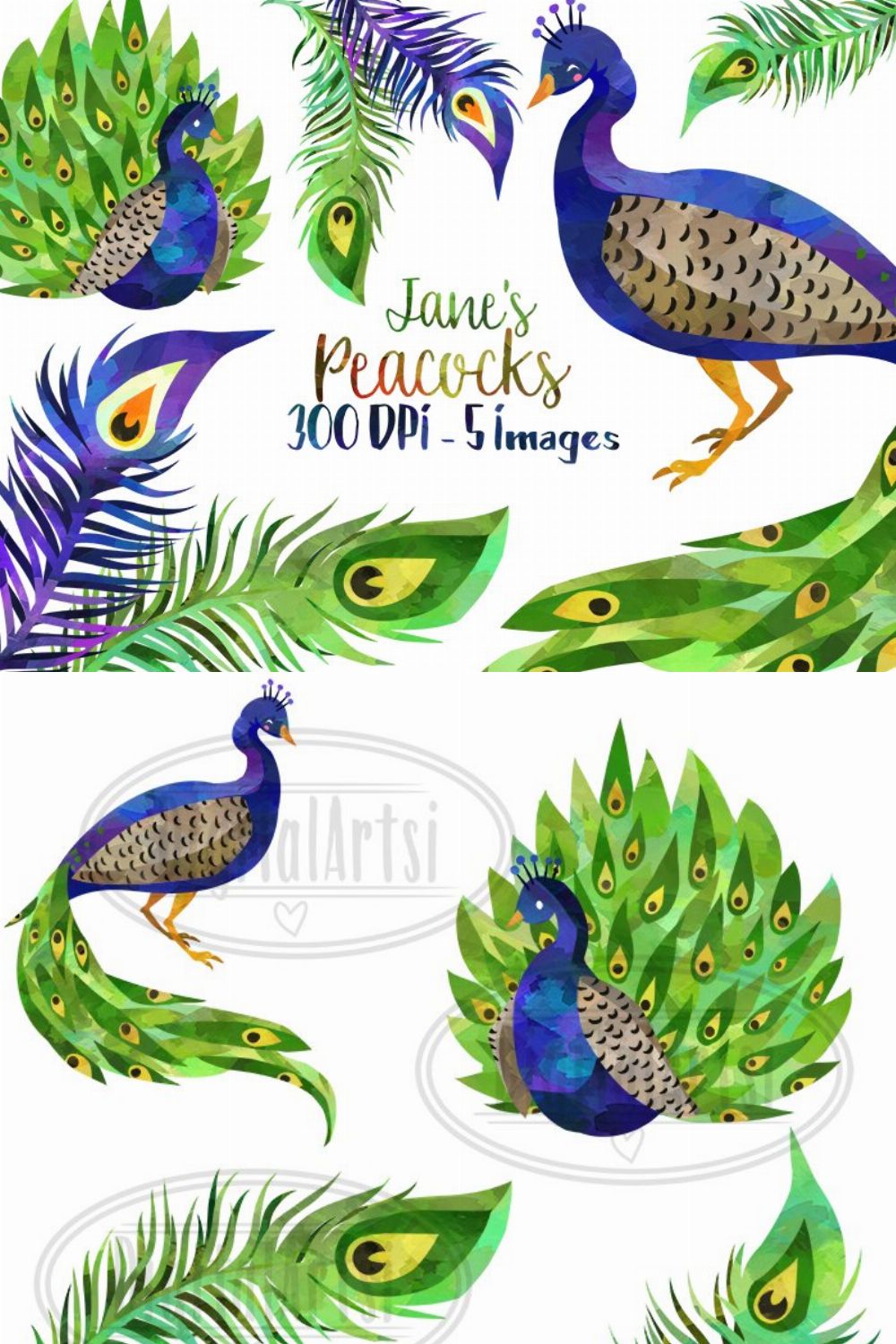 Watercolor Peacock Clipart pinterest preview image.
