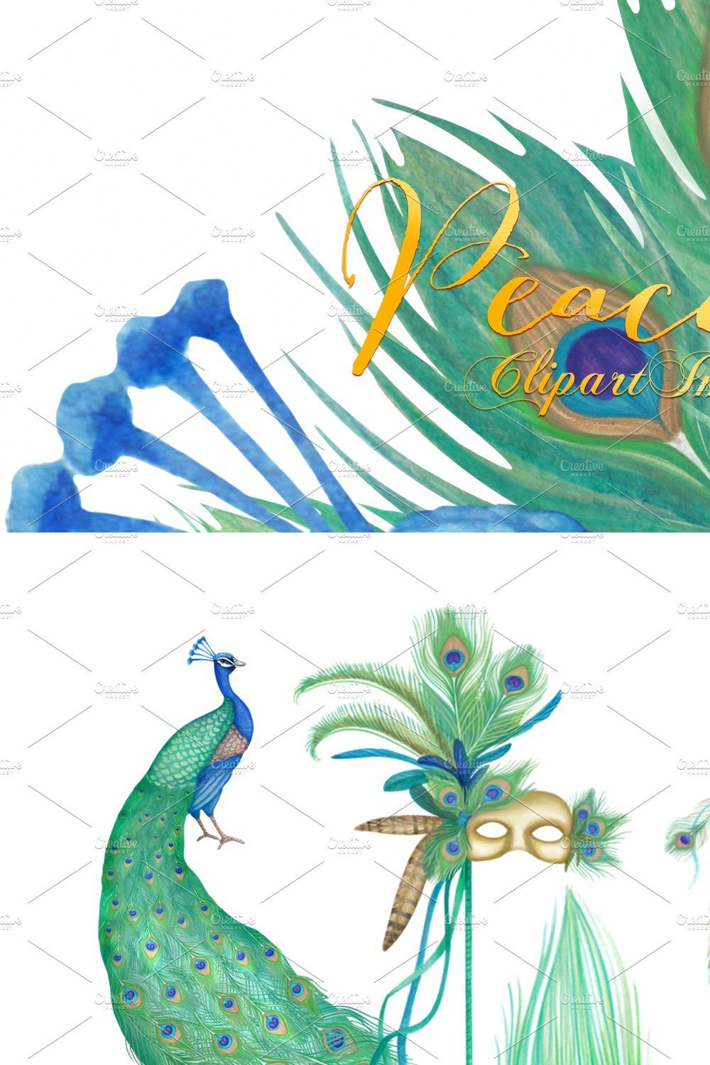 Watercolor Peacock Clipart Images pinterest preview image.