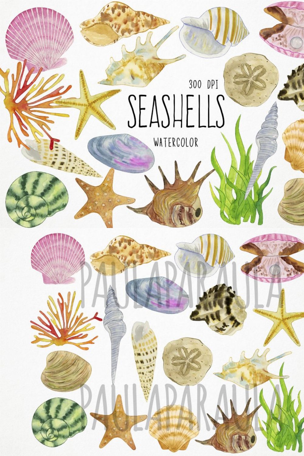 Watercolor Seashells Clipart, Shells pinterest preview image.