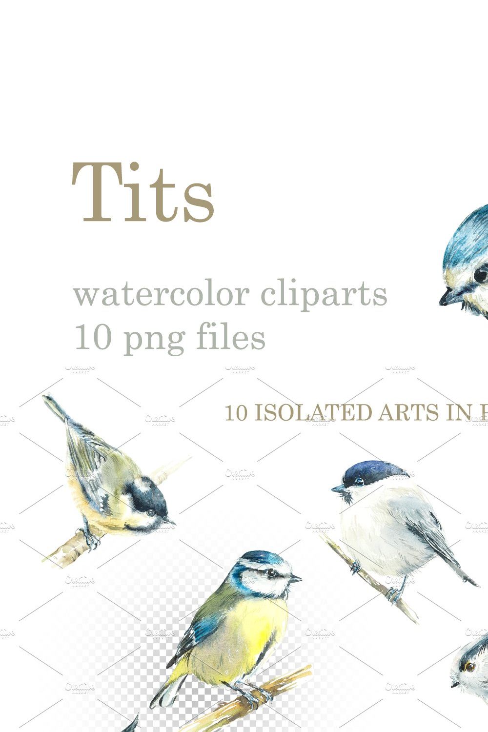 Watercolor Tits pinterest preview image.
