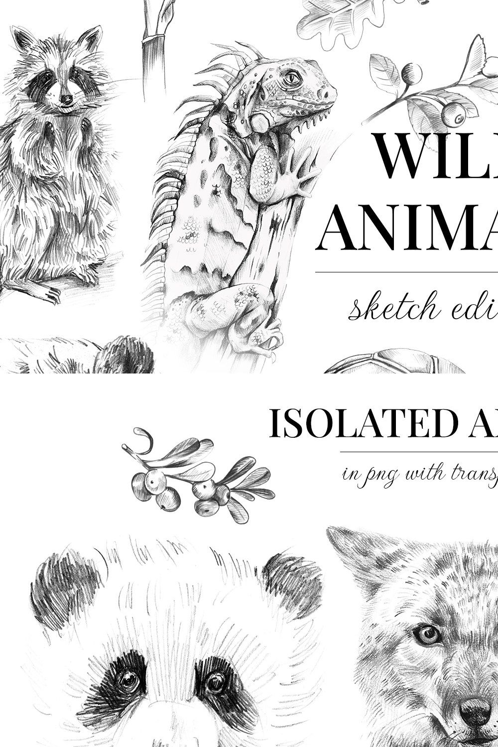 Wild animals. Sketch edition. 22 PNG pinterest preview image.