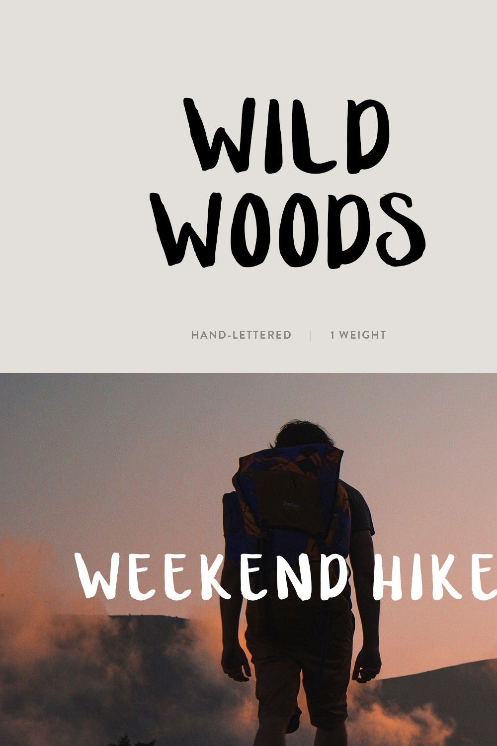 Wild Woods / hand lettered font pinterest preview image.