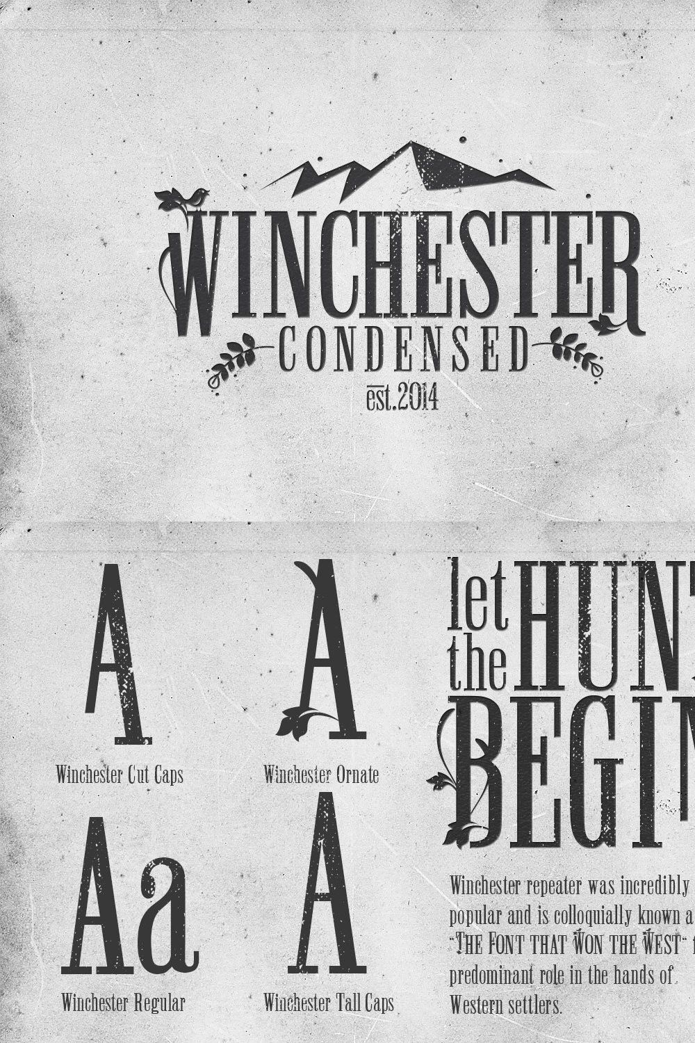 Winchester Condensed Font pinterest preview image.