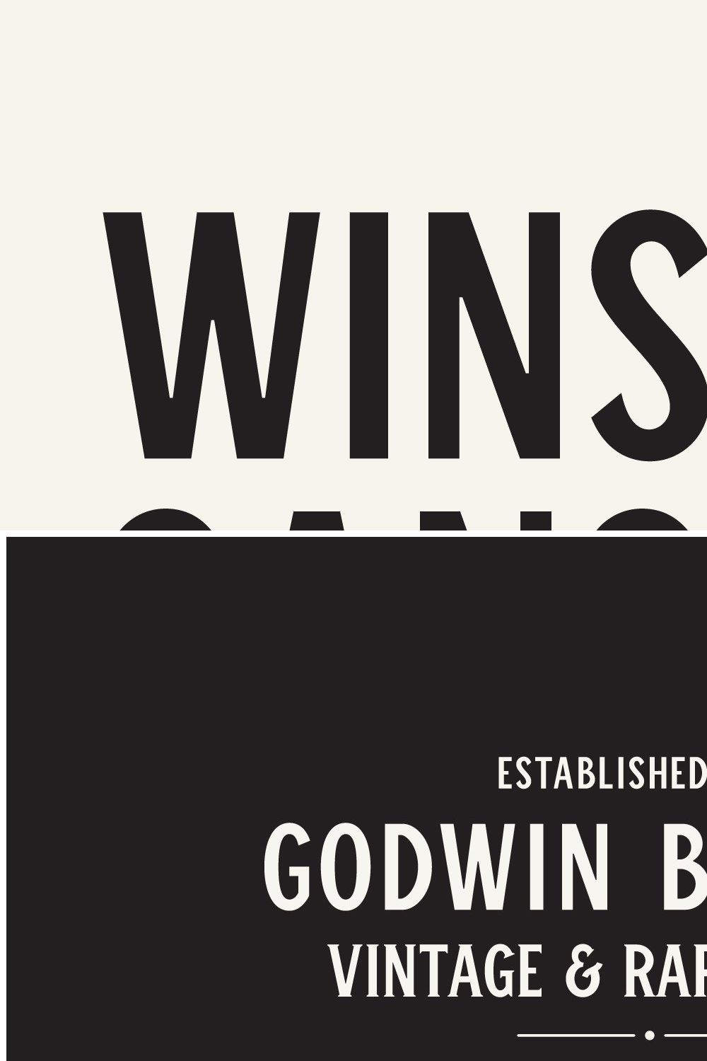 Winston Sans Typeface pinterest preview image.